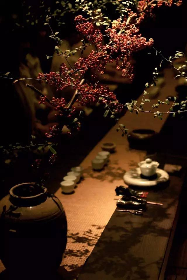 90后女孩进山隐居，煮出了武夷山最好喝的茶
