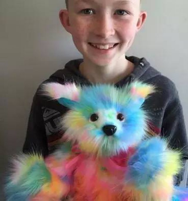 12岁暖男，3年缝1000个泰迪熊，却有3420万人被他感动点赞