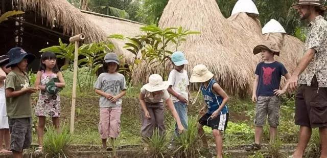 他在巴厘岛用竹子建了所学校，全世界40多个国家的人，都争着送孩子去上学