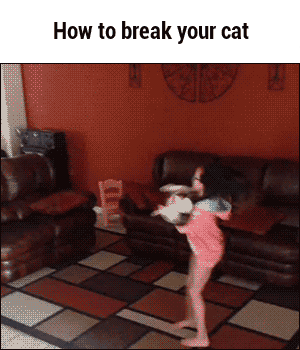 How to break you cat 