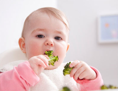 适合一岁内宝宝的蔬菜菜品