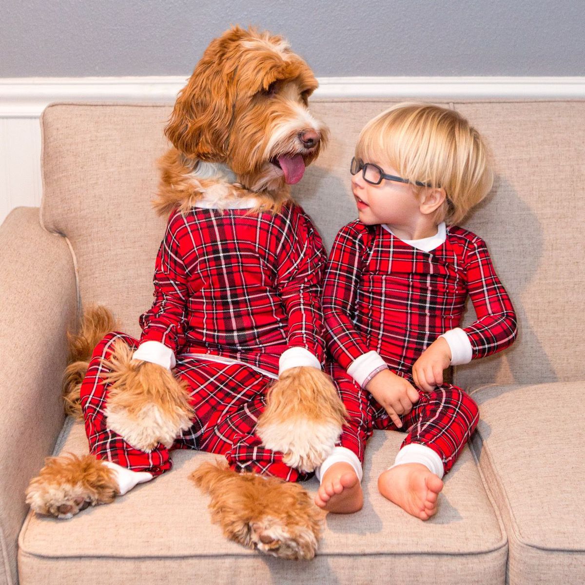 Toddler and his labradoodle are the most adorable duo to ever exist 