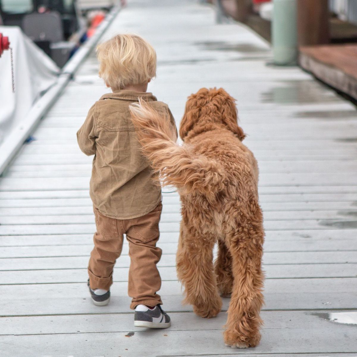Toddler and his labradoodle are the most adorable duo to ever exist 