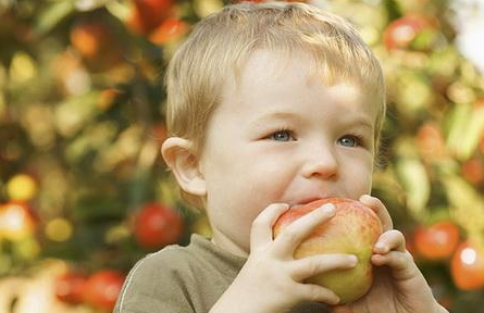 损害宝宝健康的蔬菜吃法盘点